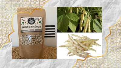 Coco de Paimpol – weiße Bohnen aus der Bretagne, ideal für traditionelle Rezepte